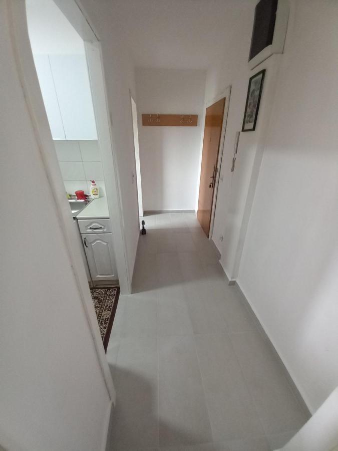 Studio Paun Podgorica Exteriör bild